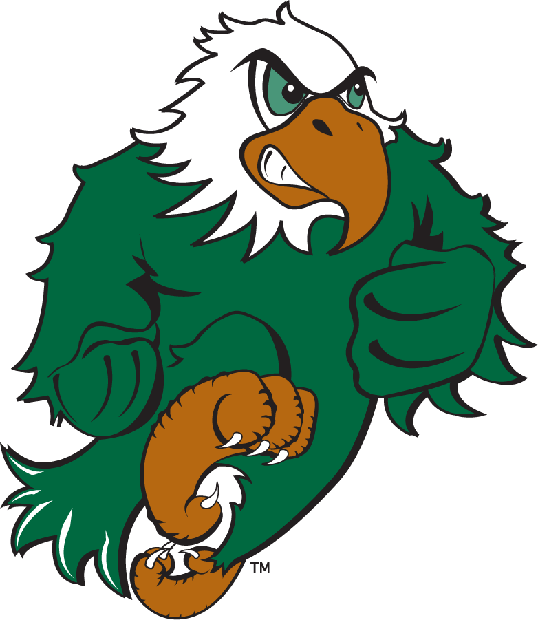North Texas Mean Green 2003-2005 Mascot Logo t shirts iron on transfers